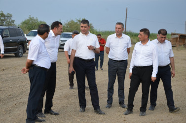 Kürdəmir Rayon İcra Hakimiyyəti başçısı “QLOBAL AQRO” MMC-ə baxış keçirib.