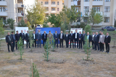 "Konstitusiya və Suverenlik ili" və 8 Noyabr – Zəfər Gününün 5-ci ildönümü münasibətilə silsilə tədbirlər çərçivəsində Kürdəmir rayonunun Xırdapay kəndində ağacəkmə aksiyası təşkil olunub.