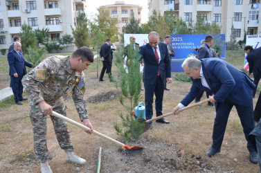 "Konstitusiya və Suverenlik ili" və 8 Noyabr – Zəfər Gününün 5-ci ildönümü münasibətilə silsilə tədbirlər çərçivəsində Kürdəmir rayonunun Xırdapay kəndində ağacəkmə aksiyası təşkil olunub.