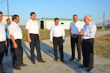 Kürdəmir Rayon İcra Hakimiyyəti başçısı heyvandarlıq kompleksinə baxış keçirib.