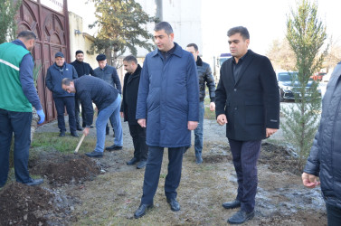 Kürdəmirdə növbəti ümumrayon iməcliyi keçirilib