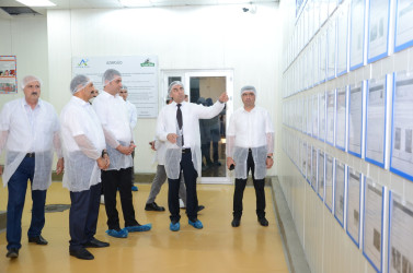 İcra başçısı Kürdəmir rayonunda fəaliyyət göstərən Azərsüd MMC süd emalı zavoduna baxış keçirib.