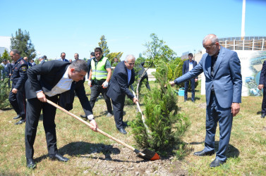 Kürdəmirdə Ümummilli Lider Heydər Əliyevin anadan olmasının 103 illiyi qeyd olunub.