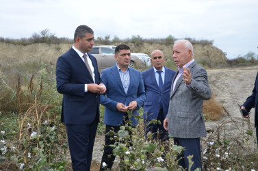 Kürdəmir rayonunun icra başçısı pambıq sahəsinə və pambıq yığımına baxış keçirib.