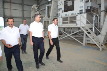 Kürdəmir Rayon İcra Hakimiyyəti başçısı “QLOBAL AQRO” MMC-ə baxış keçirib.