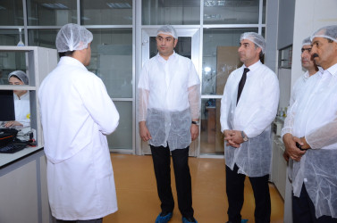 İcra başçısı Kürdəmir rayonunda fəaliyyət göstərən Azərsüd MMC süd emalı zavoduna baxış keçirib.