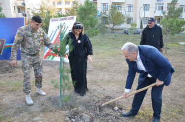 "Konstitusiya və Suverenlik ili" və 8 Noyabr – Zəfər Gününün 5-ci ildönümü münasibətilə silsilə tədbirlər çərçivəsində Kürdəmir rayonunun Xırdapay kəndində ağacəkmə aksiyası təşkil olunub.