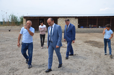 İcra başçısı Muradxan kənd sakini İsmət Məmmədova məxsus həyətdə heyvandarlıq şəraiti ilə tanış olub.