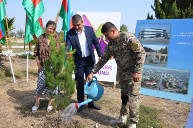 Kürdəmir rayonunda “27 sentyabr – Anım Günü” və “Şəhərsalma və Memarlıq İli” çərçivəsində ağacəkmə aksiyası keçirilib