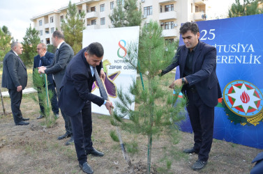 "Konstitusiya və Suverenlik ili" və 8 Noyabr – Zəfər Gününün 5-ci ildönümü münasibətilə silsilə tədbirlər çərçivəsində Kürdəmir rayonunun Xırdapay kəndində ağacəkmə aksiyası təşkil olunub.