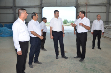 Kürdəmir Rayon İcra Hakimiyyəti başçısı “QLOBAL AQRO” MMC-ə baxış keçirib.