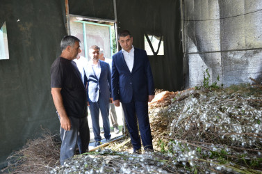 Rayon İcra Hakimiyyətinin başçısı barama saxlanılan yerlərə baxış keçirib