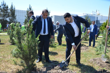 Kürdəmirdə Ümummilli Lider Heydər Əliyevin anadan olmasının 103 illiyi qeyd olunub.