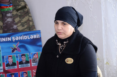 Söyüdlər kənd sakinləri ilə səyyar qəbul keçirilib