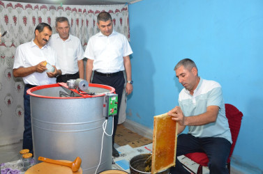 İcra başçısı arıçılıq təsərrüfatı ilə tanış olub.
