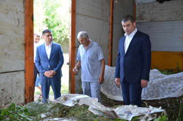 Rayon İcra Hakimiyyətinin başçısı barama saxlanılan yerlərə baxış keçirib