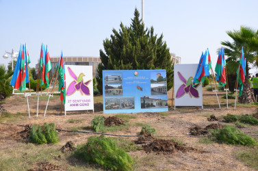 Kürdəmir rayonunda “27 sentyabr – Anım Günü” və “Şəhərsalma və Memarlıq İli” çərçivəsində ağacəkmə aksiyası keçirilib