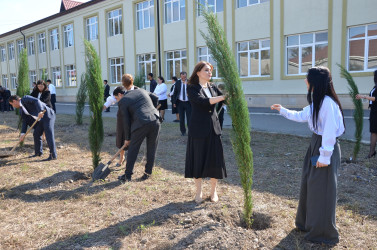 Kürdəmirdə “Yaşıl dünya naminə həmrəylil ili”nə həsr olunmuş kompleks tədbirlər keçirilib.