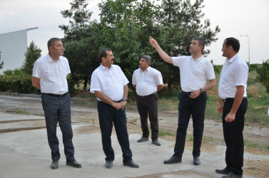Kürdəmir Rayon İcra Hakimiyyəti başçısı “QLOBAL AQRO” MMC-ə baxış keçirib.