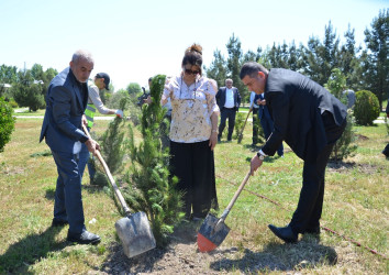 Kürdəmirdə Ümummilli Lider Heydər Əliyevin anadan olmasının 103 illiyi qeyd olunub.