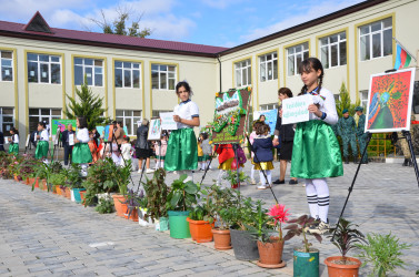 Kürdəmirdə “Yaşıl dünya naminə həmrəylil ili”nə həsr olunmuş kompleks tədbirlər keçirilib.