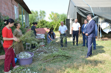 Rayon İcra Hakimiyyətinin başçısı barama saxlanılan yerlərə baxış keçirib