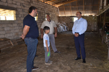 İcra başçısı Xəlsə kənd sakini Əhməd İbrəhimliyə məxsus həyətyanı sahədə yaradılmış heyvandarlıq təsərrüfatı ilə tanış olub.
