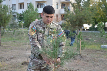 "Konstitusiya və Suverenlik ili" və 8 Noyabr – Zəfər Gününün 5-ci ildönümü münasibətilə silsilə tədbirlər çərçivəsində Kürdəmir rayonunun Xırdapay kəndində ağacəkmə aksiyası təşkil olunub.