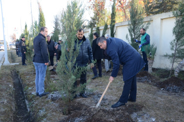 Kürdəmirdə növbəti ümumrayon iməcliyi keçirilib