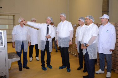 İcra başçısı Kürdəmir rayonunda fəaliyyət göstərən Azərsüd MMC süd emalı zavoduna baxış keçirib.