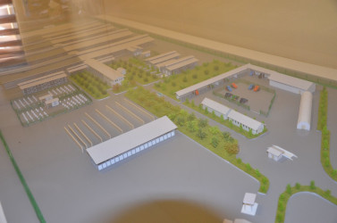 Kürdəmir Rayon İcra Hakimiyyətinin başçısı Elxan İbrahimov "Kürdəmir Süd Emalı Zavodu" MMC-yə məxsus pomidor, qarğıdalı və şəkər çuğunduru sahələrinə baxış keçirib.