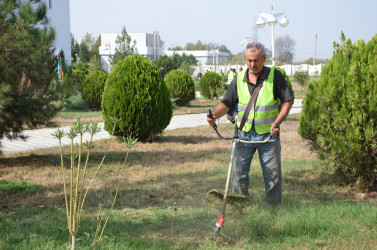 Kürdəmir rayonunda “27 sentyabr – Anım Günü” və “Şəhərsalma və Memarlıq İli” çərçivəsində ağacəkmə aksiyası keçirilib