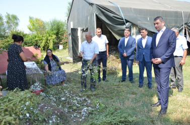 Rayon İcra Hakimiyyətinin başçısı barama saxlanılan yerlərə baxış keçirib