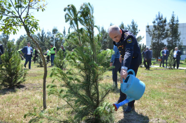 Kürdəmirdə Ümummilli Lider Heydər Əliyevin anadan olmasının 103 illiyi qeyd olunub.