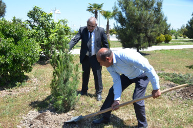 Kürdəmirdə Ümummilli Lider Heydər Əliyevin anadan olmasının 103 illiyi qeyd olunub.