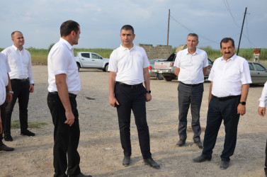 Kürdəmir Rayon İcra Hakimiyyəti başçısı “QLOBAL AQRO” MMC-ə baxış keçirib.