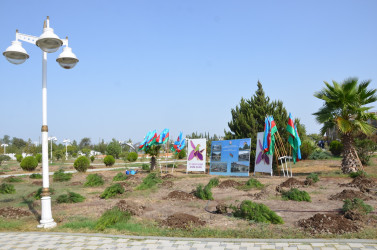 Kürdəmir rayonunda “27 sentyabr – Anım Günü” və “Şəhərsalma və Memarlıq İli” çərçivəsində ağacəkmə aksiyası keçirilib