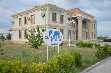 Kürdəmir Rayon İcra Hakimiyyəti başçısı “QLOBAL AQRO” MMC-ə baxış keçirib.