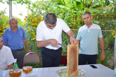 İcra başçısı arıçılıq təsərrüfatı ilə tanış olub.