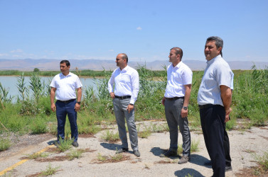 Kürdəmir Rayon İcra Hakimiyyətinin başçısı Elxan İbrahimov "Kürdəmir Süd Emalı Zavodu" MMC-yə məxsus pomidor, qarğıdalı və şəkər çuğunduru sahələrinə baxış keçirib.
