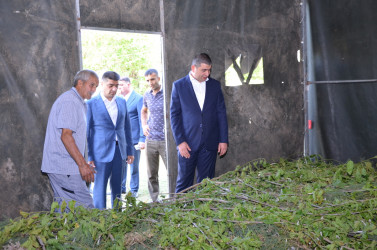 Rayon İcra Hakimiyyətinin başçısı barama saxlanılan yerlərə baxış keçirib