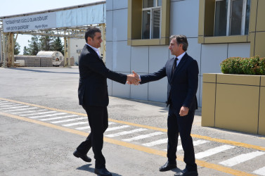 İcra başçısı Kürdəmir rayonunda fəaliyyət göstərən Azərsüd MMC süd emalı zavoduna baxış keçirib.