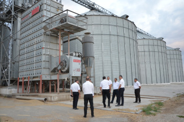 Kürdəmir Rayon İcra Hakimiyyəti başçısı “QLOBAL AQRO” MMC-ə baxış keçirib.