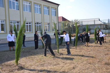 Kürdəmirdə “Yaşıl dünya naminə həmrəylil ili”nə həsr olunmuş kompleks tədbirlər keçirilib.