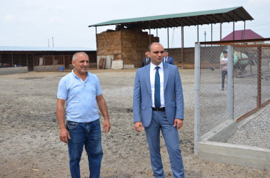 İcra başçısı Muradxan kənd sakini İsmət Məmmədova məxsus həyətdə heyvandarlıq şəraiti ilə tanış olub.