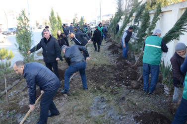 Kürdəmirdə növbəti ümumrayon iməcliyi keçirilib
