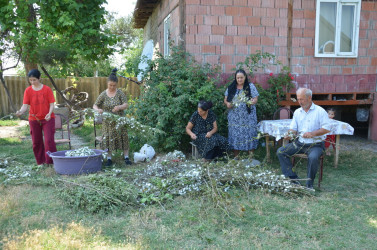 Rayon İcra Hakimiyyətinin başçısı barama saxlanılan yerlərə baxış keçirib