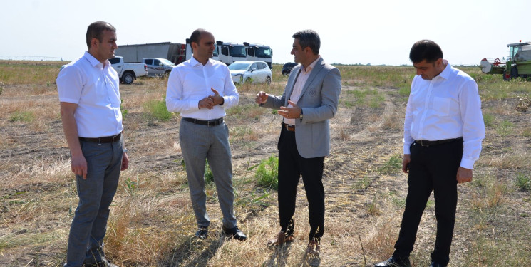 İcra Hakimiyyətinin başçısı Çöhranlı kəndində "Azersun Holding" MMC-yə məxsus 50 hektar sahədə aparılan arpa biçini prosesinə baxış keçirib