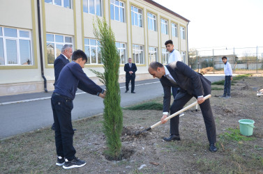 Kürdəmirdə “Yaşıl dünya naminə həmrəylil ili”nə həsr olunmuş kompleks tədbirlər keçirilib.