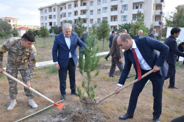 "Konstitusiya və Suverenlik ili" və 8 Noyabr – Zəfər Gününün 5-ci ildönümü münasibətilə silsilə tədbirlər çərçivəsində Kürdəmir rayonunun Xırdapay kəndində ağacəkmə aksiyası təşkil olunub.
